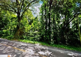 55 BROOKS RD, Memphis, Tennessee 38109, ,Land,For Sale,BROOKS,10171152