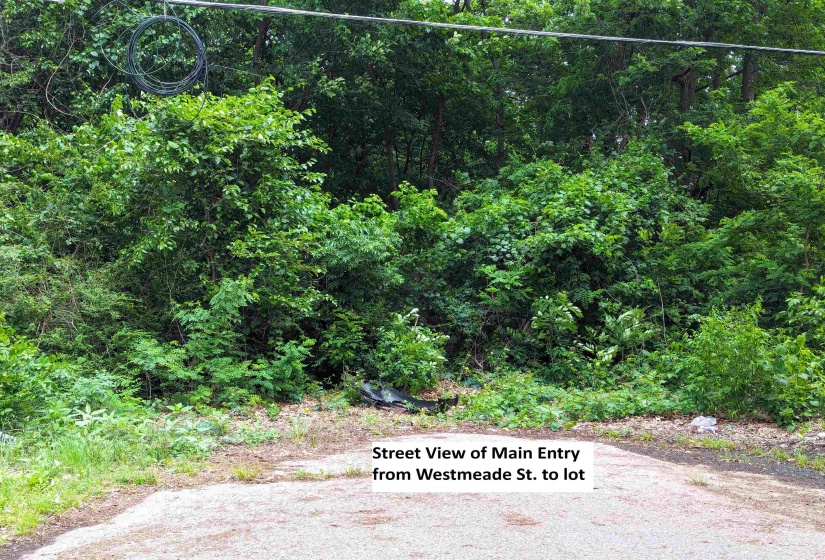4825 AMERICAN WAY BLVD, Memphis, Tennessee 38118, ,Land,For Sale,AMERICAN WAY,10172053