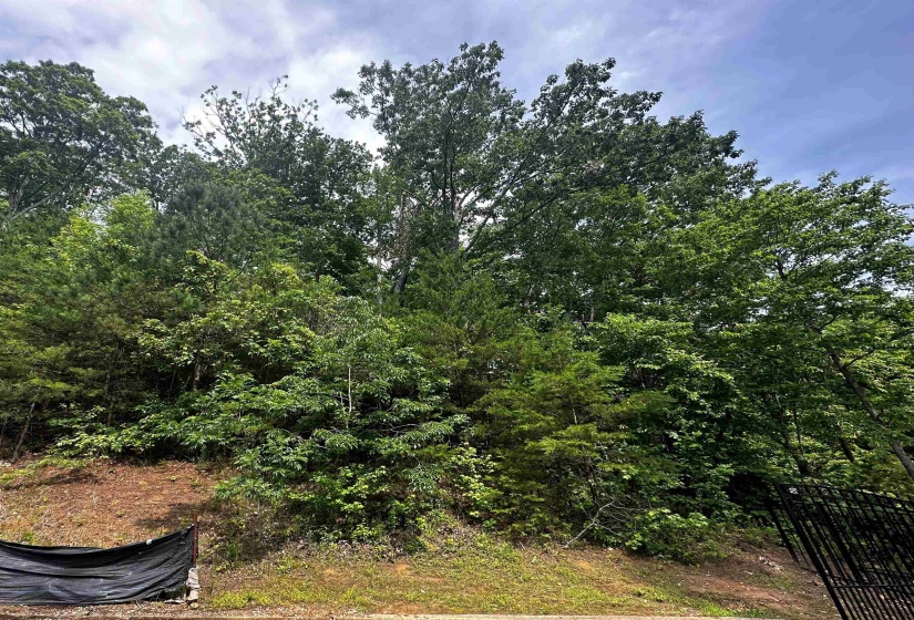 LOT 40 HIGH POINTE DR, Savannah, Tennessee 38372, ,Land,For Sale,HIGH POINTE,10172500
