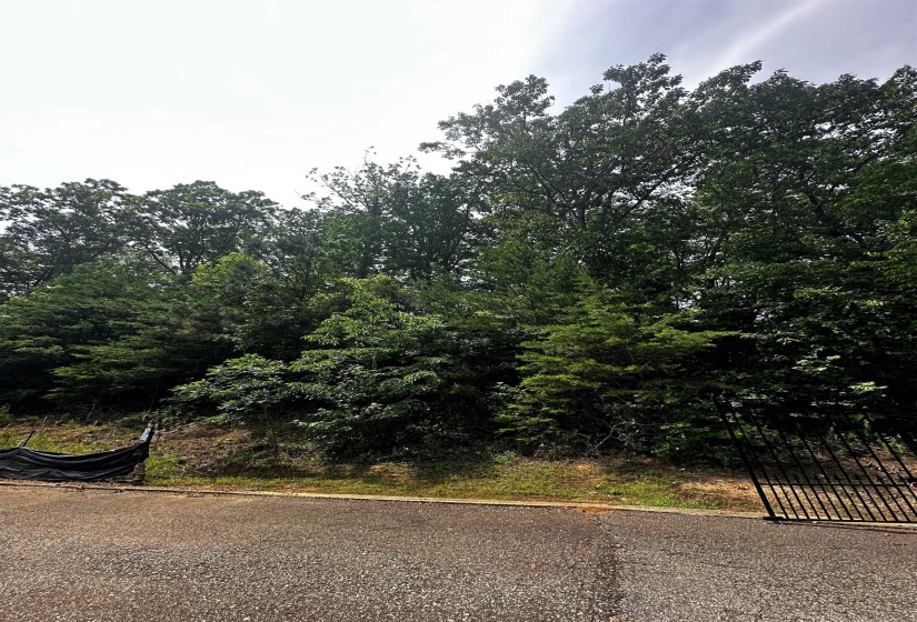 LOT 40 HIGH POINTE DR, Savannah, Tennessee 38372, ,Land,For Sale,HIGH POINTE,10172500