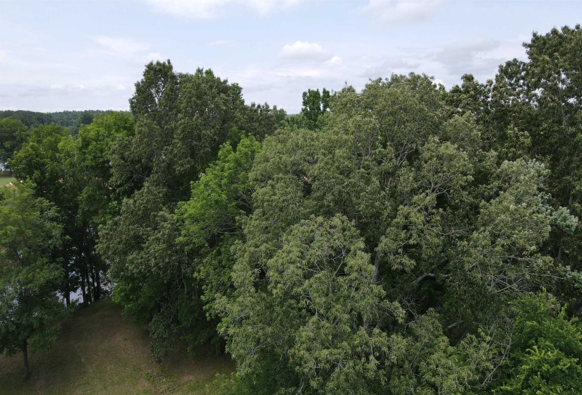 LOTS 119-120 HEARTS DELIGHT LN, Savannah, Tennessee 38372, ,Land,For Sale,HEARTS DELIGHT,10173989