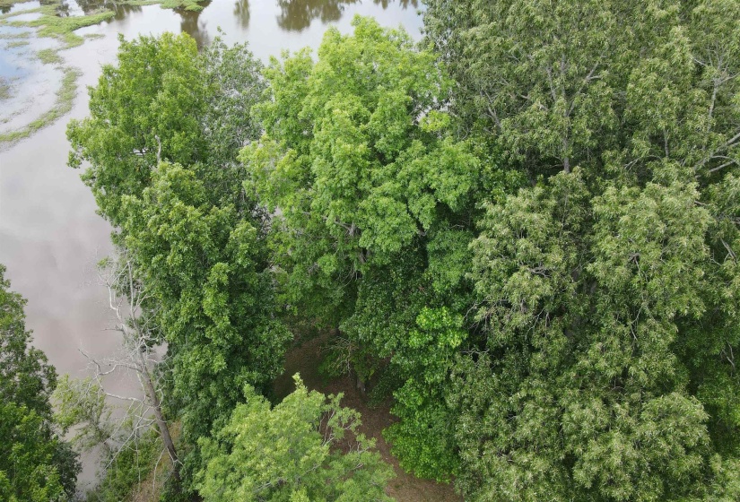 LOTS 119-120 HEARTS DELIGHT LN, Savannah, Tennessee 38372, ,Land,For Sale,HEARTS DELIGHT,10173989