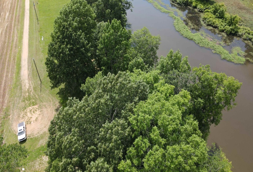 LOTS 119-120 HEARTS DELIGHT LN, Savannah, Tennessee 38372, ,Land,For Sale,HEARTS DELIGHT,10173989