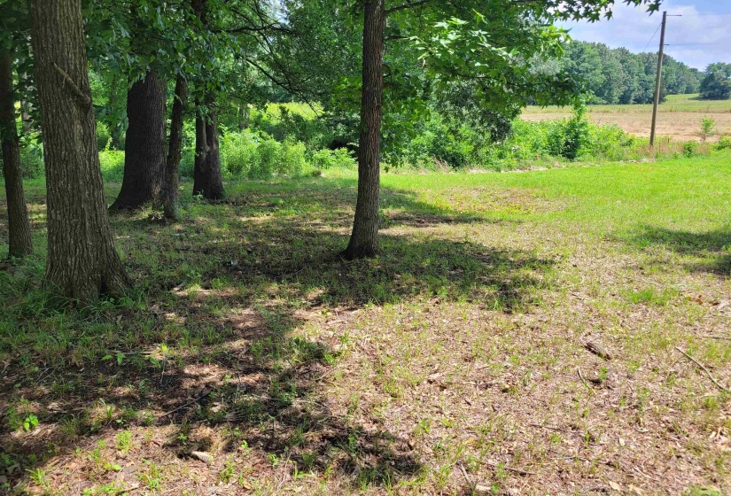 LOTS 119-120 HEARTS DELIGHT LN, Savannah, Tennessee 38372, ,Land,For Sale,HEARTS DELIGHT,10173989