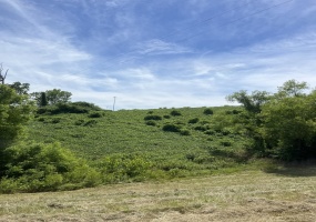 0 HWY 178 HWY, Blue Springs, Mississippi 38828, ,Land,For Sale,HWY 178,10175182