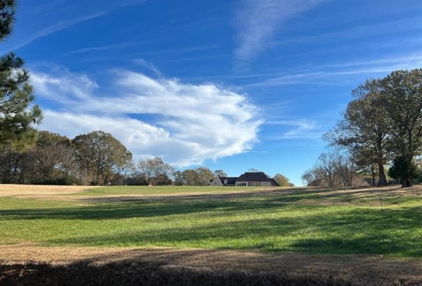 View of home's community with a lawn