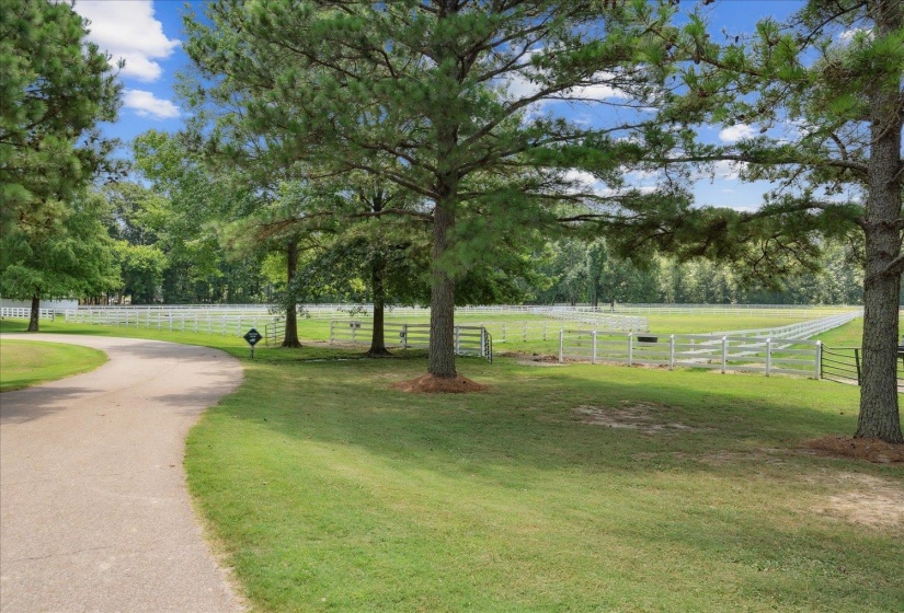 View of home's community with a rural view and a lawn