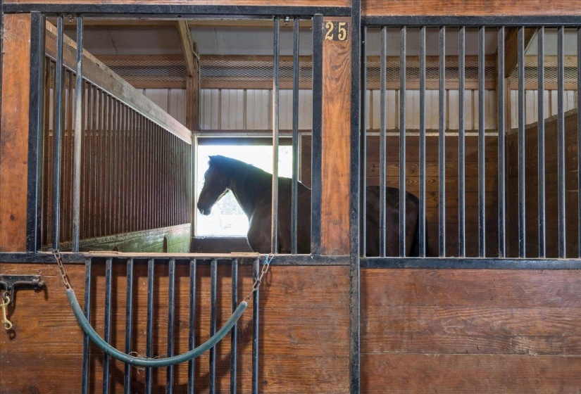 View of horse barn