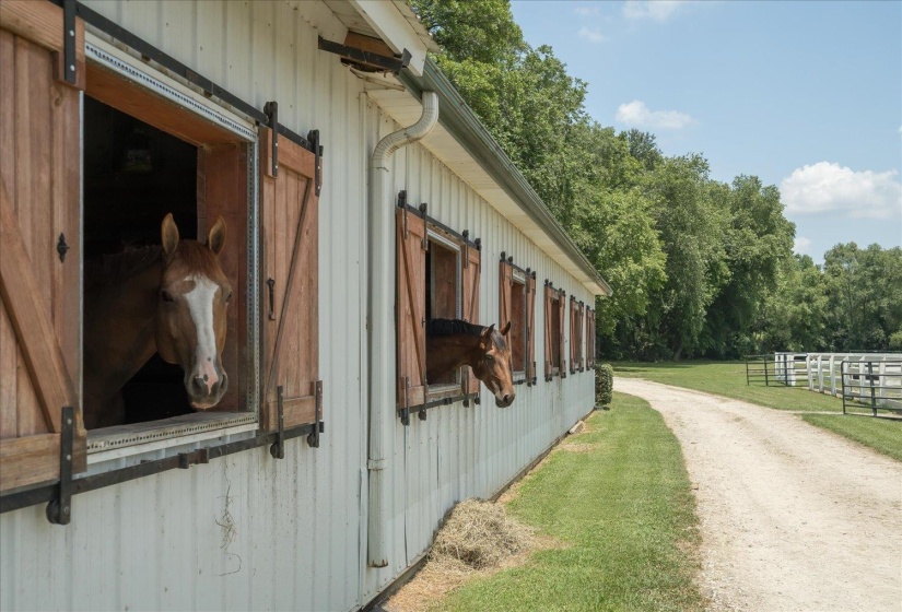 View of stable