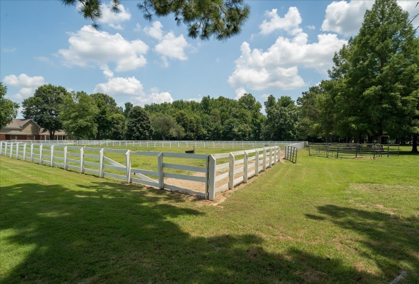 Pasture