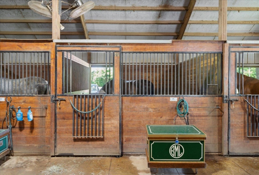 View of stable