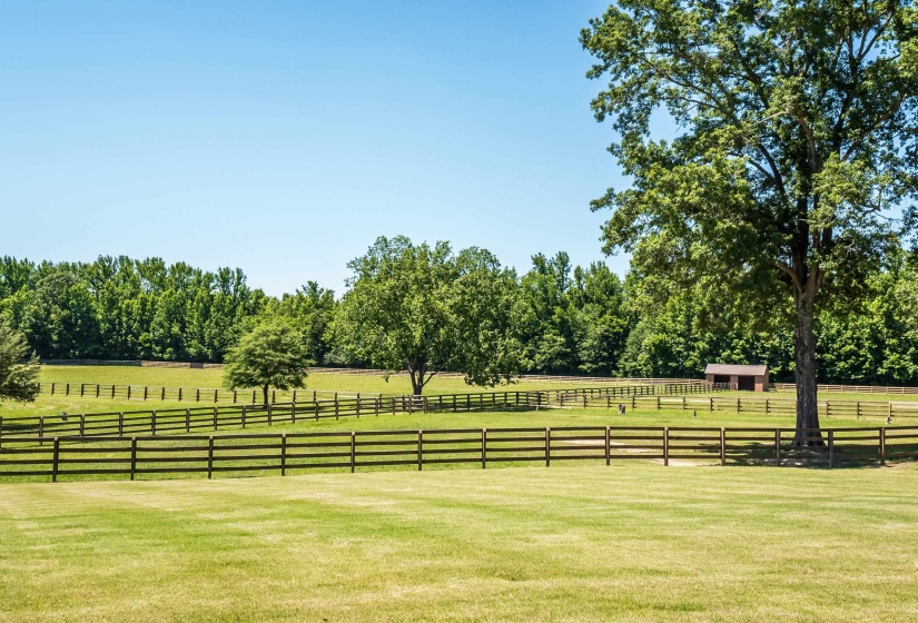 View of pastures and one of the run-in sheds