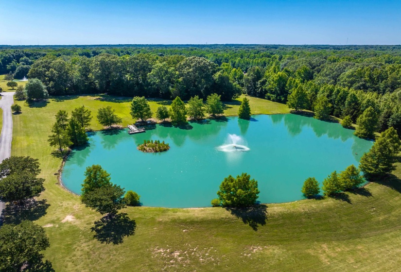 Front pond with dock