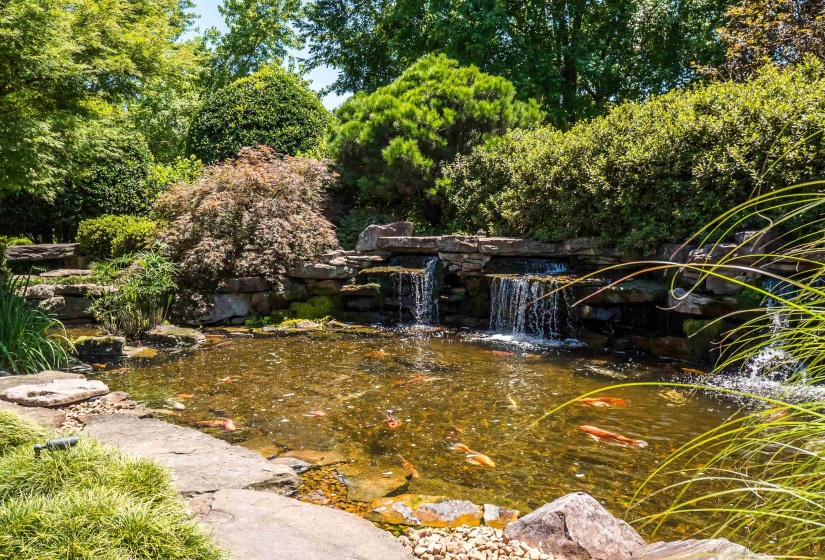 25,000 gallon Koi pond