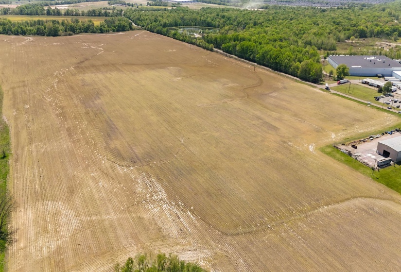 Drone / aerial view featuring a rural view