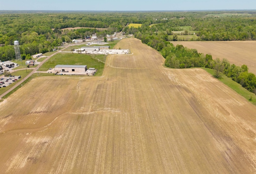 Birds eye view of property featuring a view of trees