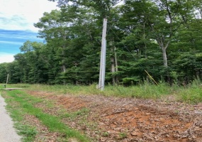 3075 REHOBOTH RD, Somerville, Tennessee 38068, ,Land,For Sale,REHOBOTH,10176414