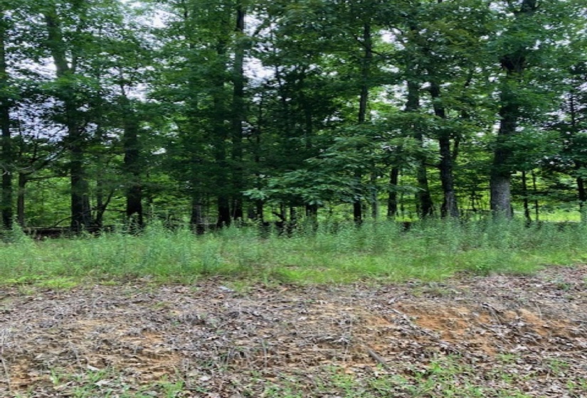 3075 REHOBOTH RD, Somerville, Tennessee 38068, ,Land,For Sale,REHOBOTH,10176414