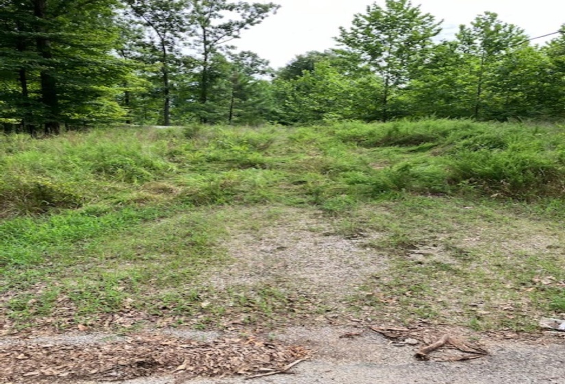 3075 REHOBOTH RD, Somerville, Tennessee 38068, ,Land,For Sale,REHOBOTH,10176414