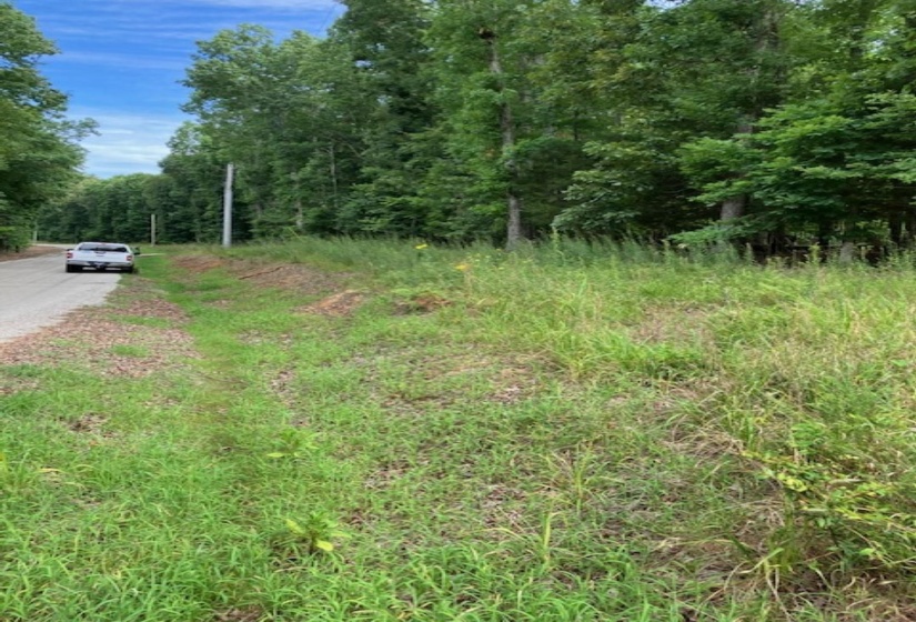 3075 REHOBOTH RD, Somerville, Tennessee 38068, ,Land,For Sale,REHOBOTH,10176414