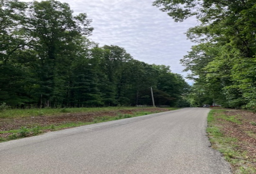 3075 REHOBOTH RD, Somerville, Tennessee 38068, ,Land,For Sale,REHOBOTH,10176414