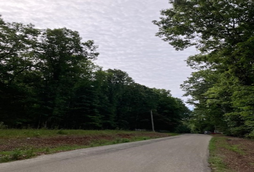 3075 REHOBOTH RD, Somerville, Tennessee 38068, ,Land,For Sale,REHOBOTH,10176414