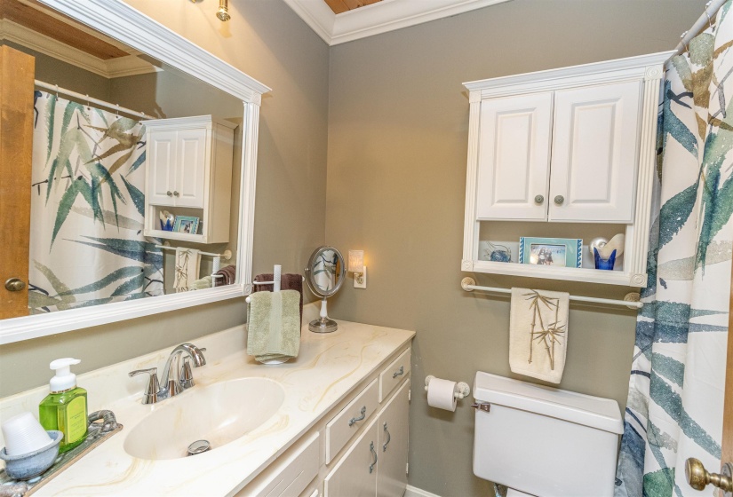 Bathroom with vanity, ornamental molding, and toilet