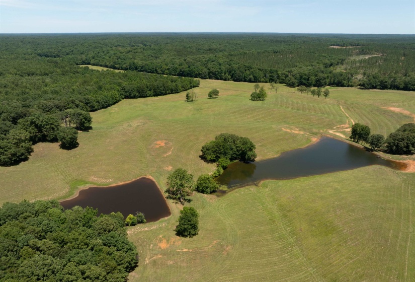 Aerial view with a rural view