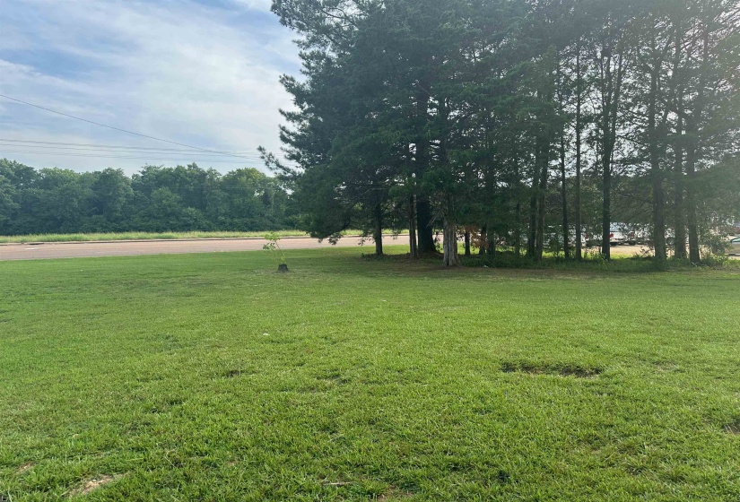 654 MAIN ST, Adamsville, Tennessee 38310, ,Land,For Sale,MAIN,10176740