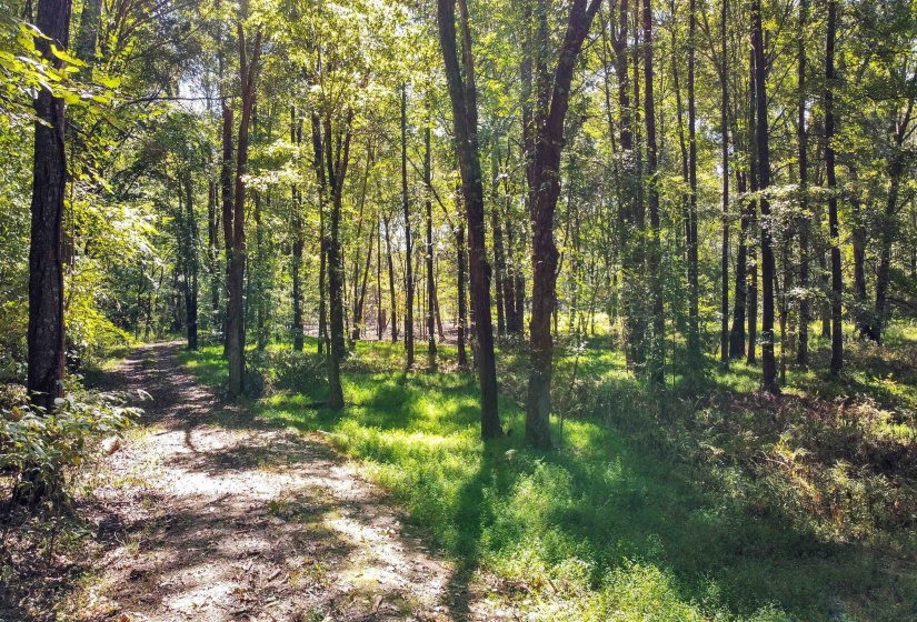 10835 MACON RD, Eads, Tennessee 38028, ,Land,For Sale,MACON,10177025