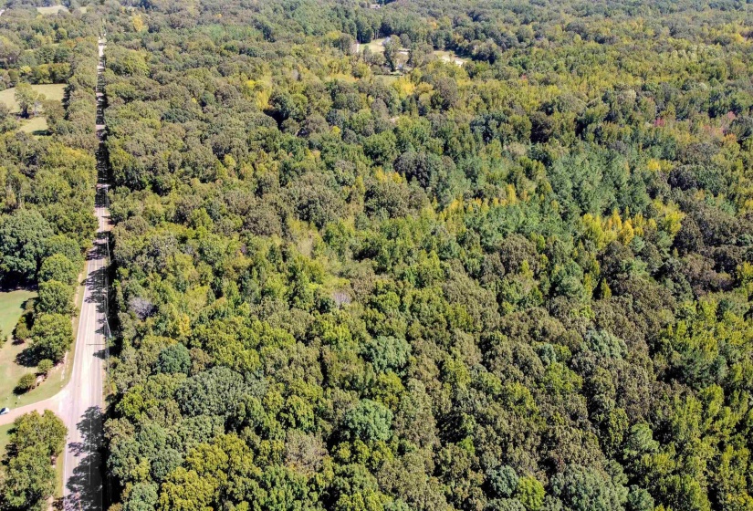 10835 MACON RD, Eads, Tennessee 38028, ,Land,For Sale,MACON,10177025