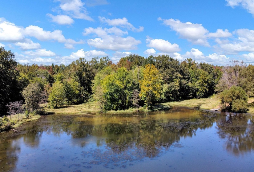 10835 MACON RD, Eads, Tennessee 38028, ,Land,For Sale,MACON,10177025