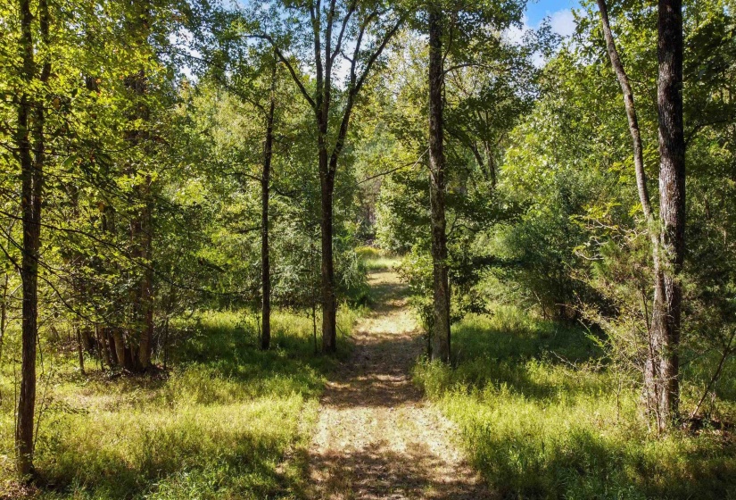 10835 MACON RD, Eads, Tennessee 38028, ,Land,For Sale,MACON,10177025