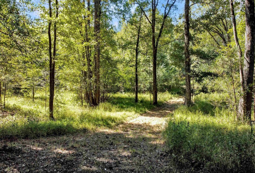 10835 MACON RD, Eads, Tennessee 38028, ,Land,For Sale,MACON,10177025