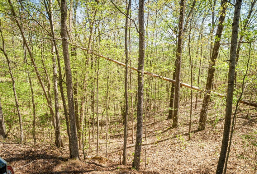 View of landscape