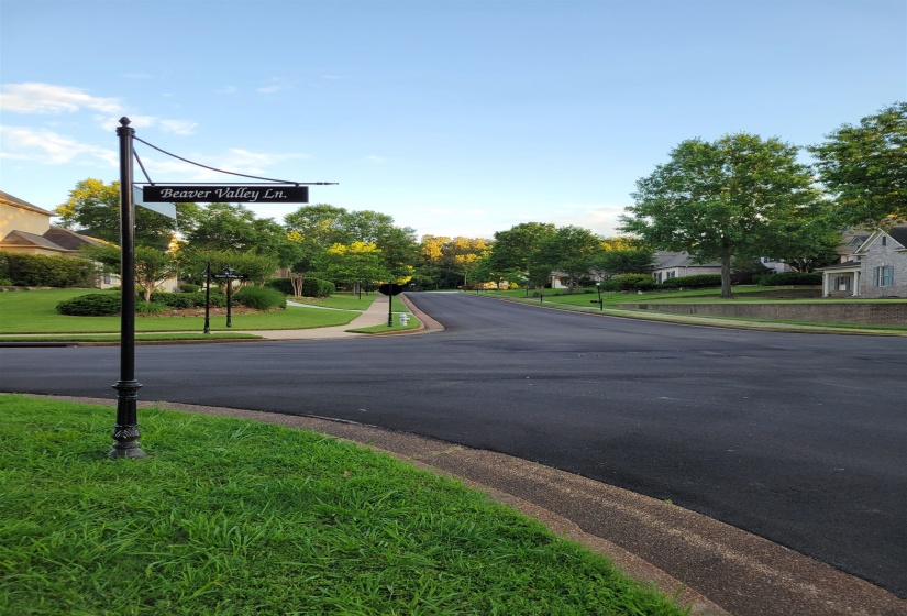 View of street