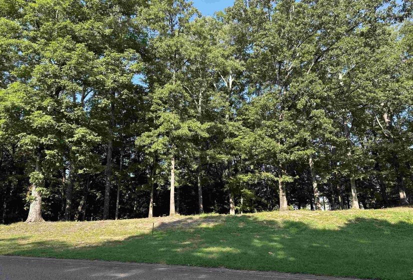 94 PRESERVE BLVD, Savannah, Tennessee 38372, ,Land,For Sale,PRESERVE,10178622