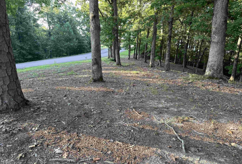 94 PRESERVE BLVD, Savannah, Tennessee 38372, ,Land,For Sale,PRESERVE,10178622