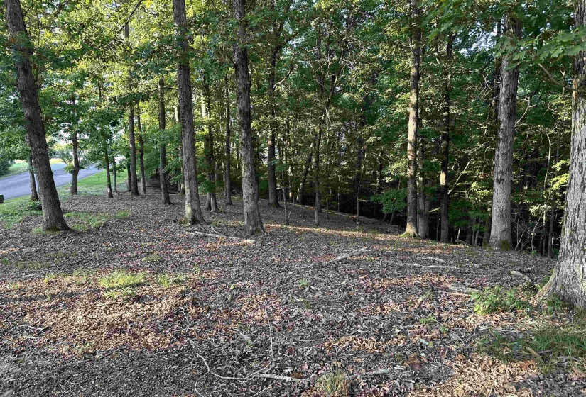 94 PRESERVE BLVD, Savannah, Tennessee 38372, ,Land,For Sale,PRESERVE,10178622