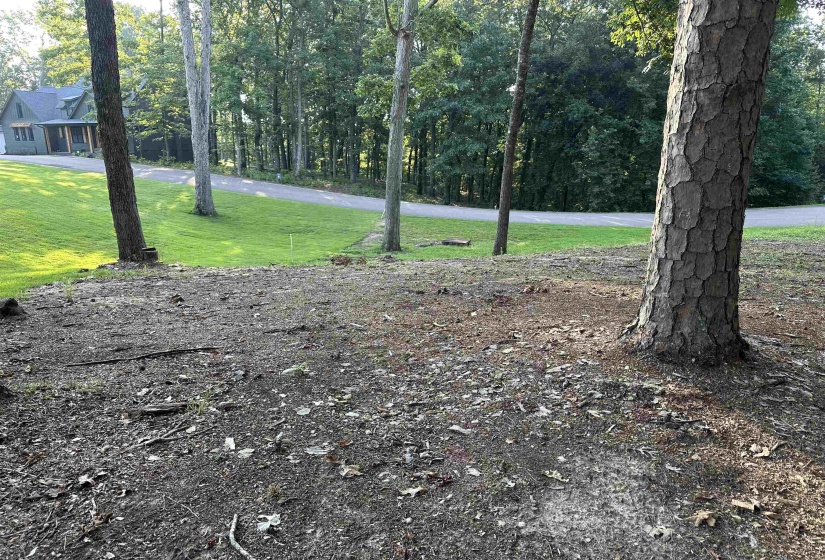94 PRESERVE BLVD, Savannah, Tennessee 38372, ,Land,For Sale,PRESERVE,10178622