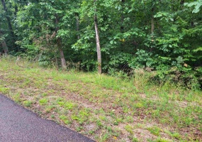 0 YEAGER LN, Counce, Tennessee 38326, ,Land,For Sale,YEAGER,10179905