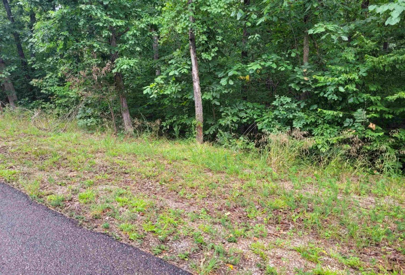 0 YEAGER LN, Counce, Tennessee 38326, ,Land,For Sale,YEAGER,10179905