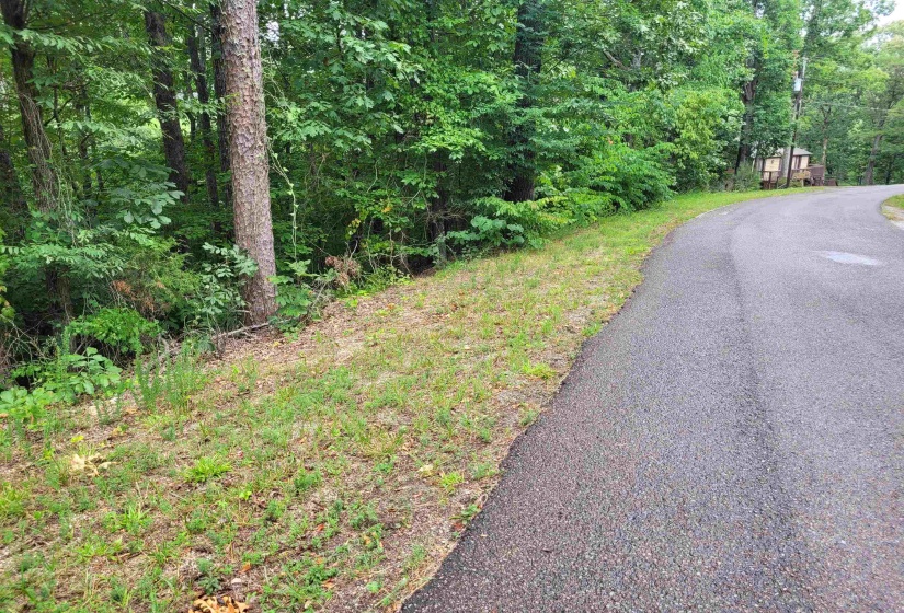 0 YEAGER LN, Counce, Tennessee 38326, ,Land,For Sale,YEAGER,10179905