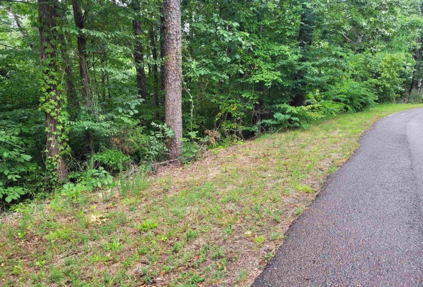 0 YEAGER LN, Counce, Tennessee 38326, ,Land,For Sale,YEAGER,10179905