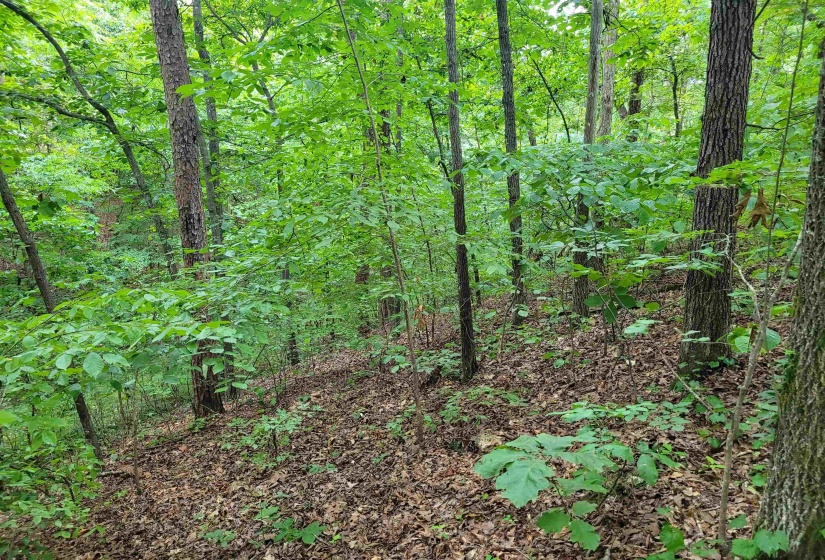 0 YEAGER LN, Counce, Tennessee 38326, ,Land,For Sale,YEAGER,10179905