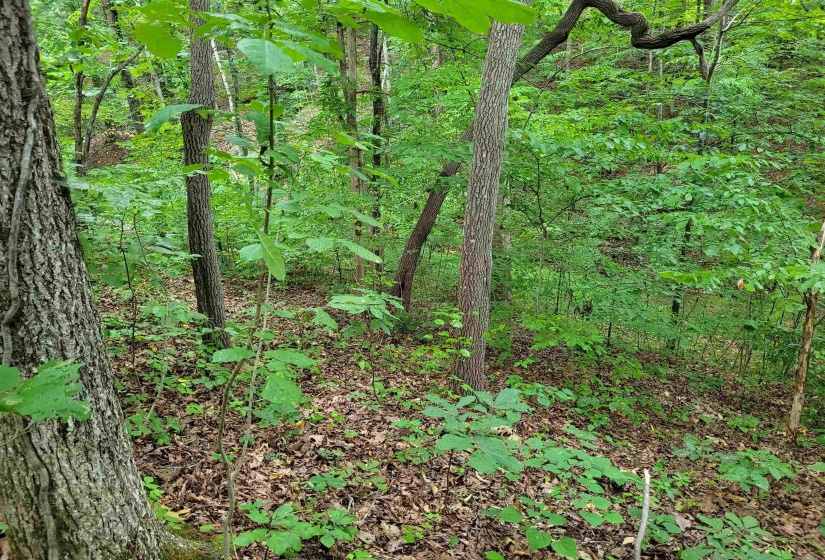 0 YEAGER LN, Counce, Tennessee 38326, ,Land,For Sale,YEAGER,10179905