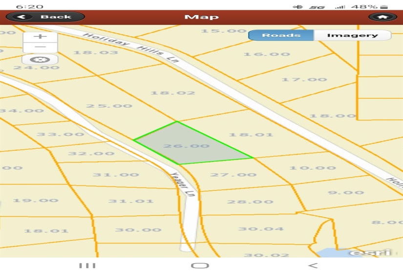 0 YEAGER LN, Counce, Tennessee 38326, ,Land,For Sale,YEAGER,10179905