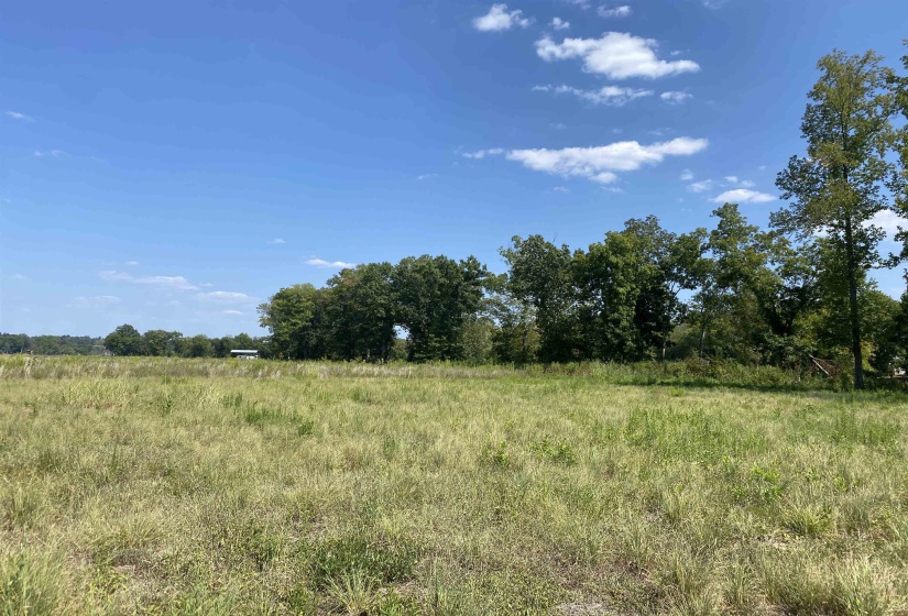 1114 LAUNCH RAMP CV, Savannah, Tennessee 38372, ,Land,For Sale,LAUNCH RAMP,10180283
