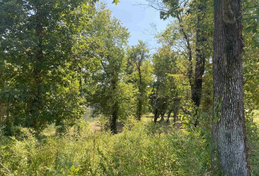 1114 LAUNCH RAMP CV, Savannah, Tennessee 38372, ,Land,For Sale,LAUNCH RAMP,10180283