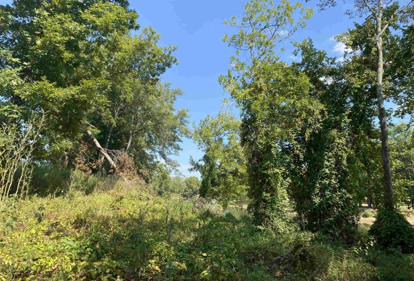 1114 LAUNCH RAMP CV, Savannah, Tennessee 38372, ,Land,For Sale,LAUNCH RAMP,10180283